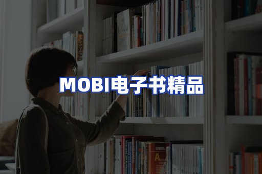外文电子书产品